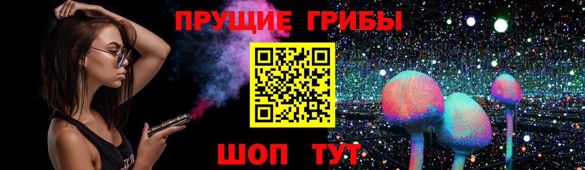 Артём  купить закладку  Вход с VPN  Псилоцибиновые грибы Cubensis 